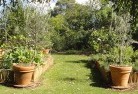 Abbotsford QLDvegetable-gardens-3.jpg; ?>